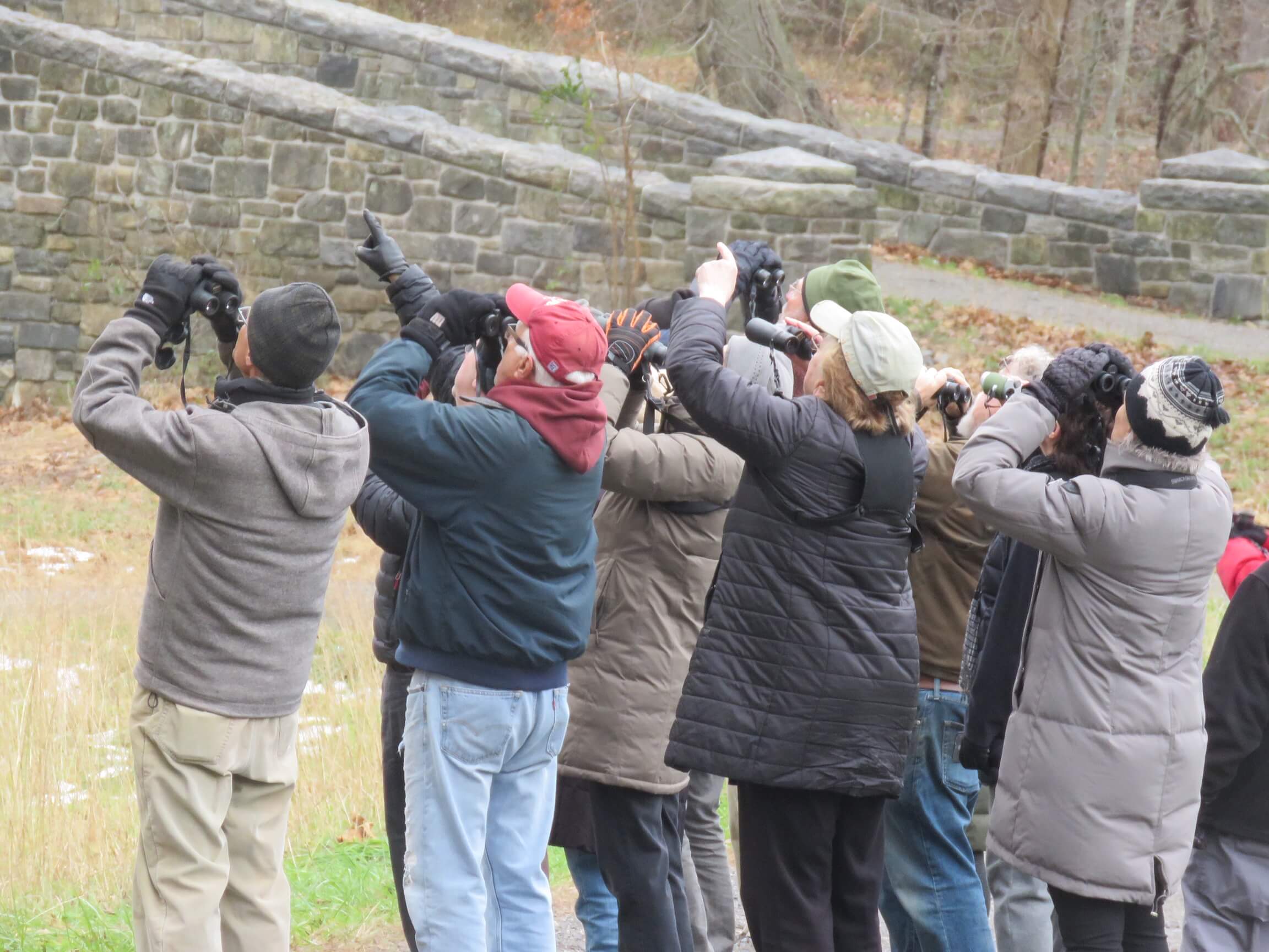IMG_3073-SteveK SMRA Monday morning bird walk participants. Photo: Steve Kowalczyk/SMRA