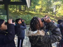 Young birders on a SMRA guided field trip to Rockefeller State Park Preserve. Photo: SMRA/Anne Swaim