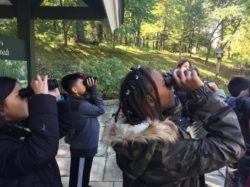 IMG_3239 Young birders on a SMRA guided field trip to Rockefeller State Park Preserve. Photo: SMRA/Anne Swaim