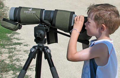 Young birder. Photo: Christine McCluskey