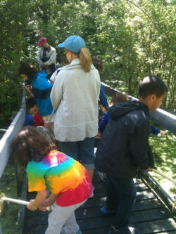 Pinecliff-Field-Trip Young scientist exploring nature objects during a SMRA classroom program. Photo: SMRA/Anne Swaim