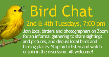 BirdChat-2nd-4th-Tues