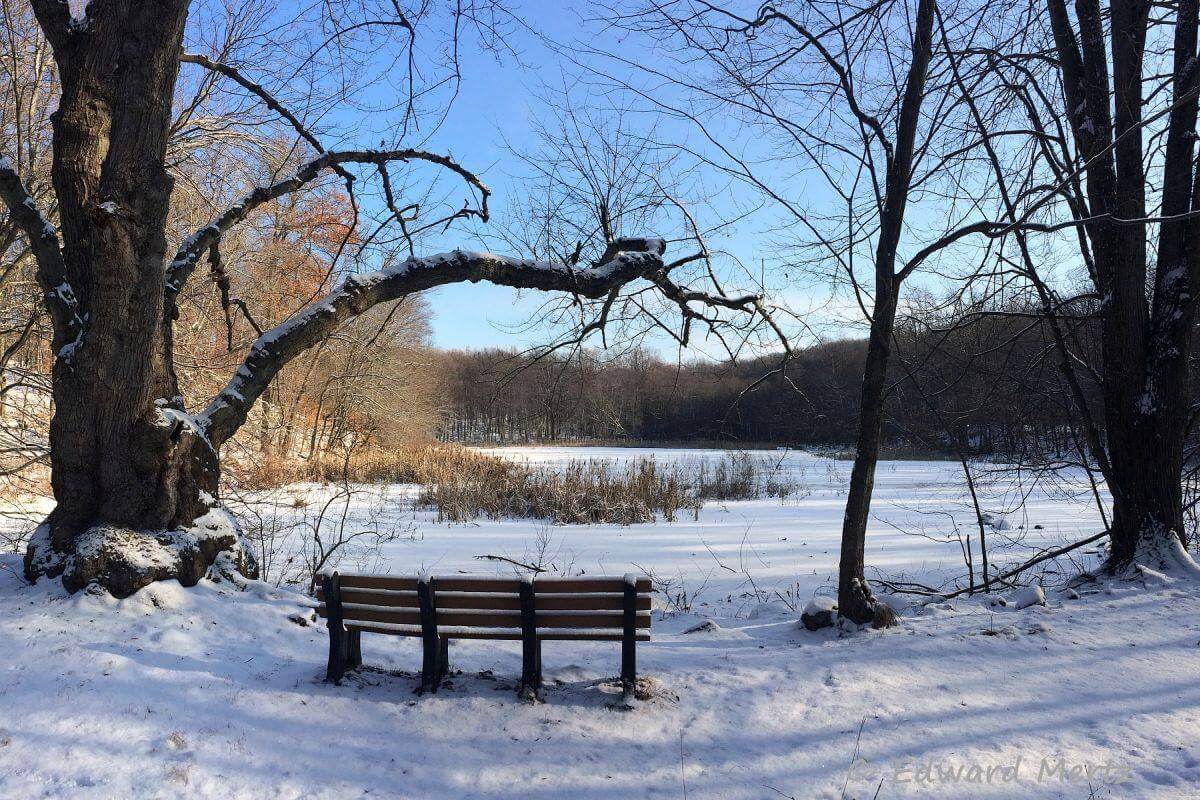 Brinton pond bench in winter. Photo: Edward Mertz