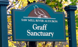 Graff-Sign Graff-Sign