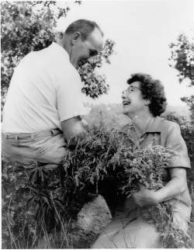 Pruyns Pruyn Sanctuary was first established in 1966 by Agnes Keane. and Dr. Fellowes Morgan Pruyn , long-time residents of Chappaqua, through a gift of 16 acres to Saw Mill River Audubon. Small parcels of two and four acres each were added by the Benedict and Allison families, respectively, from their nearby properties
