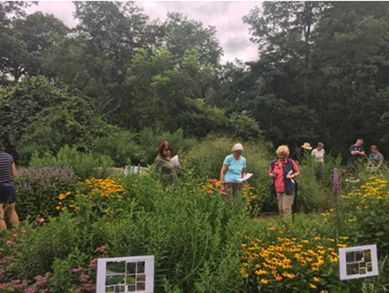 Another view of the small Plants for Birds native meadow demonstration garden at Pruyn Sanctuary. Photo: SMRA