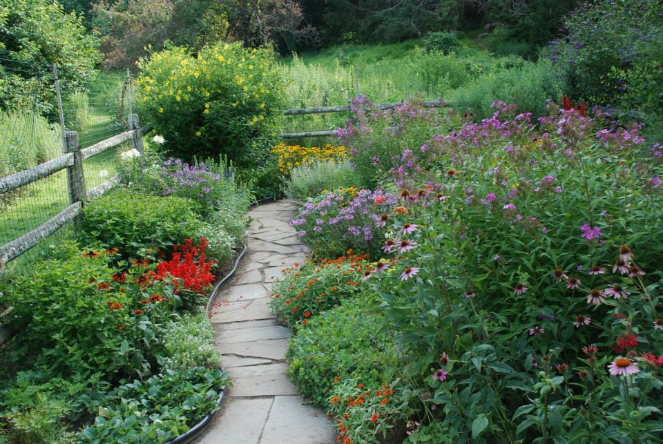 Butterfly and Hummingbird Garden at Pruyn Sanctuary. Photo: SMRA/Anne Swaim.