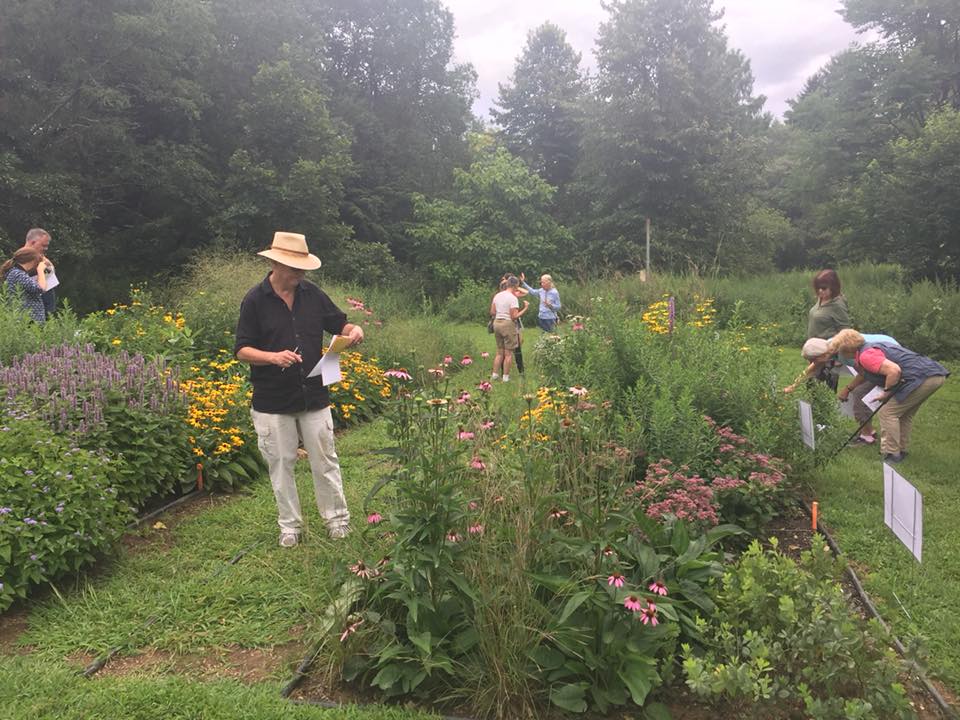 history-Sep2018-PFB-SawMillRiverAudubon-2 Open house for new Plants for Birds demonstration garden at Pruyn Sanctuary in Fall 2018. Photo: SMRA/Anne Swaim