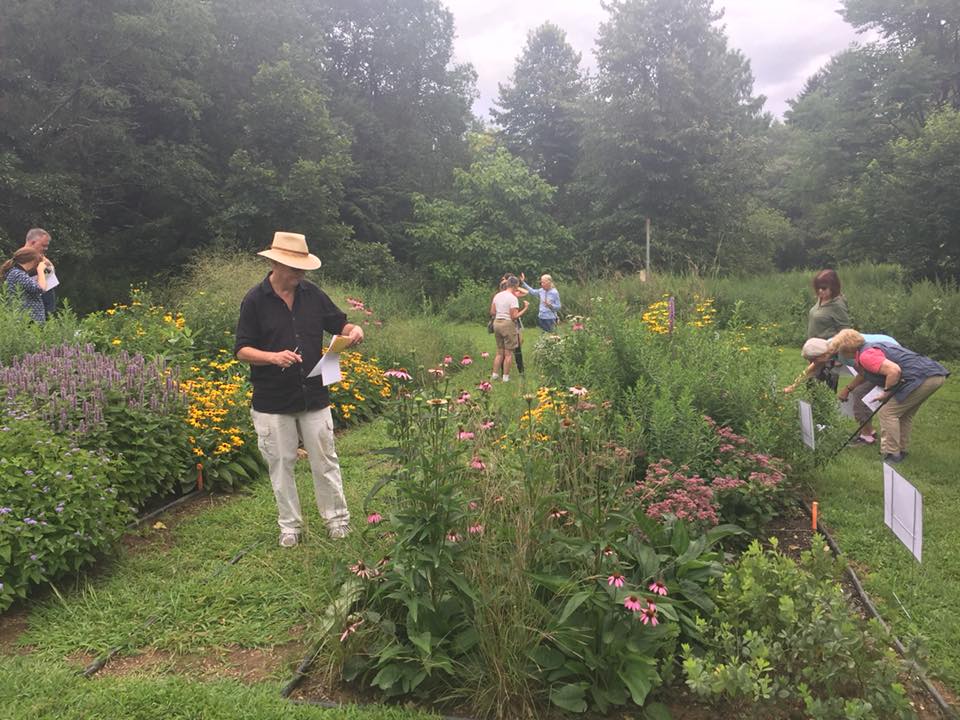 Touring the meadow garden plots. Photo: Anne Swaim