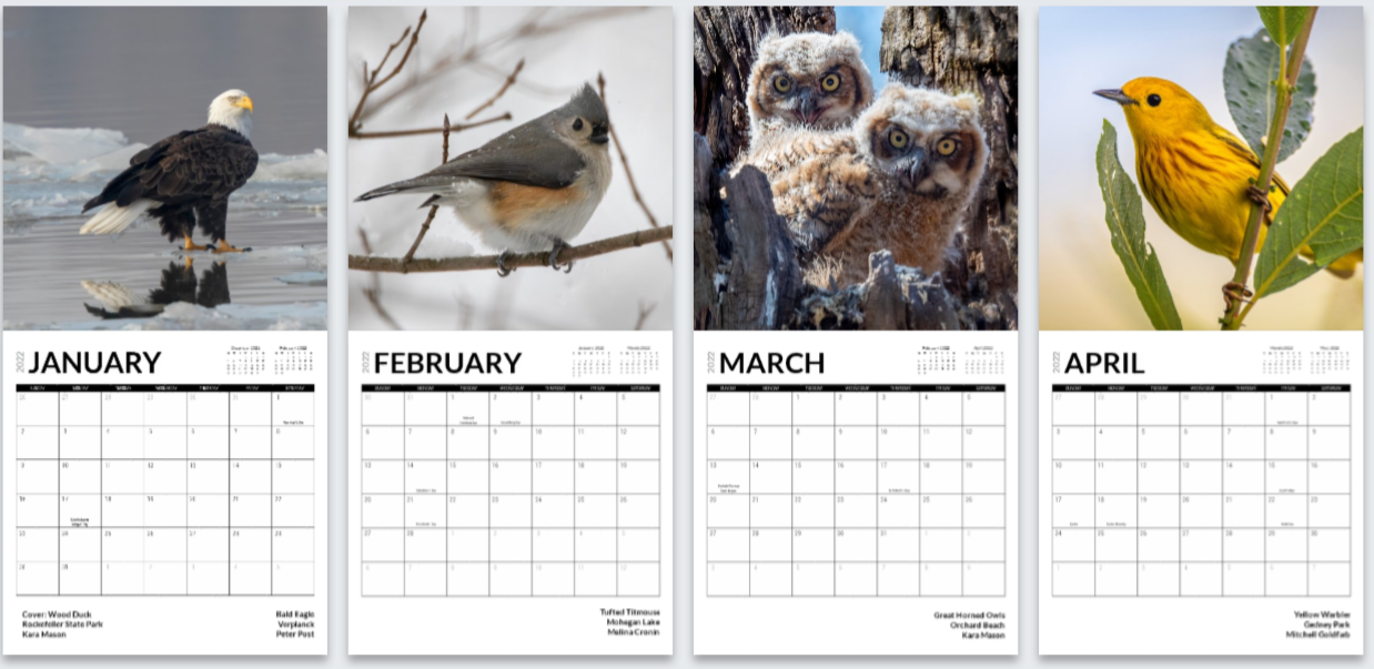 calendar-birds-1