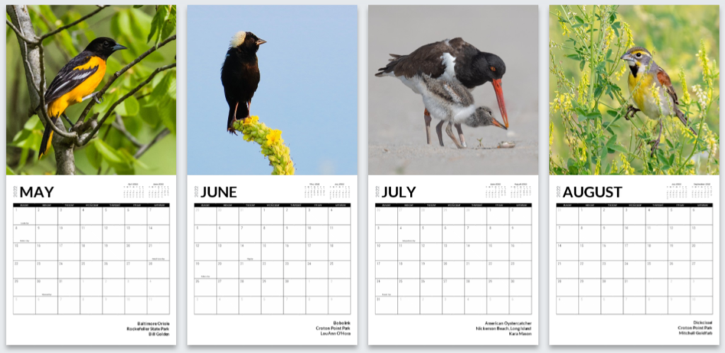 calendar-birds-2