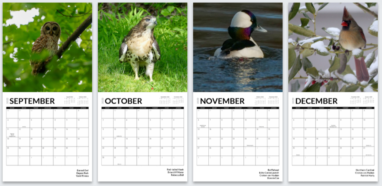 calendar-birds-3