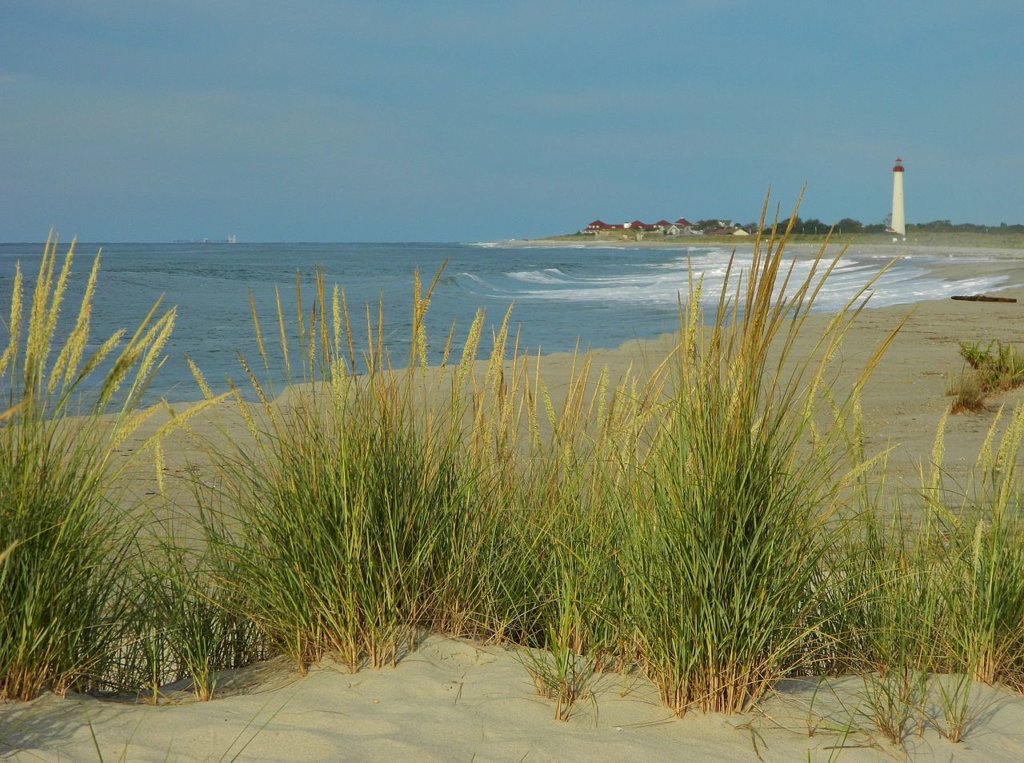 Cape May BirdingWeekend with Charlie Roberto