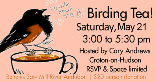 FB-ad-Birding-Tea-2022