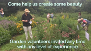 FB-Garden-Volunteer-Generic
