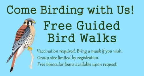 FB-ad-Bird-Walks-No-Season FB-ad-Bird-Walks-No-Season