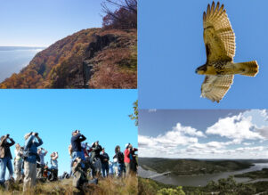 Hook-Mountain-Hawk-Watch