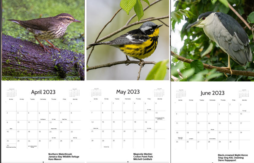 2023-Calendar-Apr-Jun