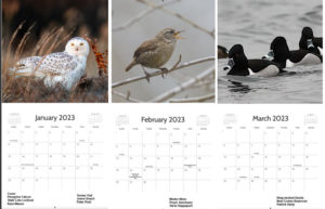 2023-Calendar-Jan-Mar