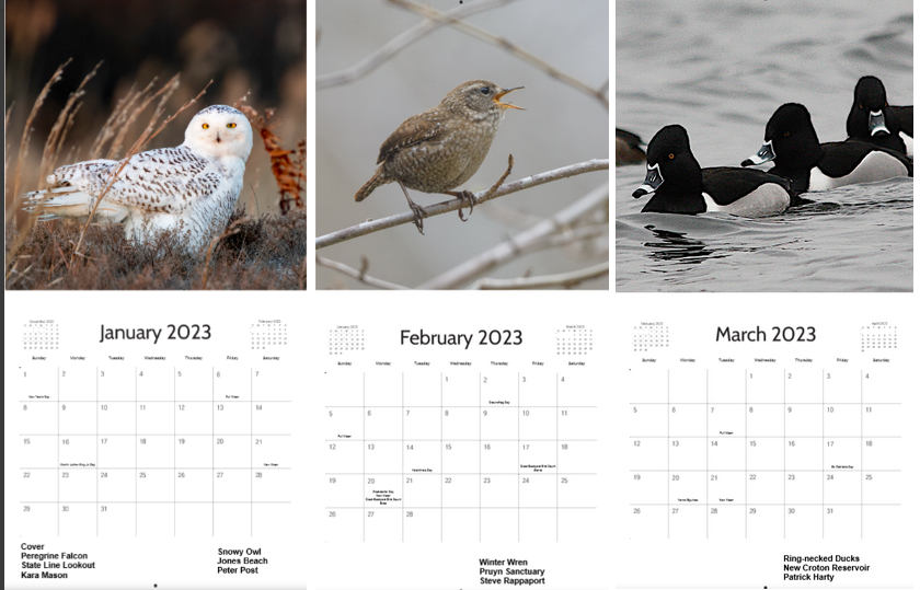 2023-Calendar-Jan-Mar