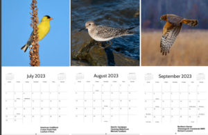 2023-Calendar-Jul-Sep