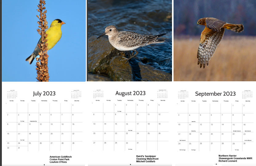 2023-Calendar-Jul-Sep