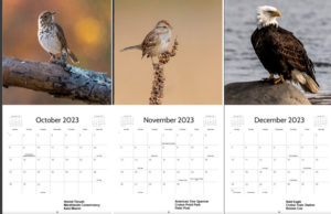 2023-Calendar-Oct-Dec