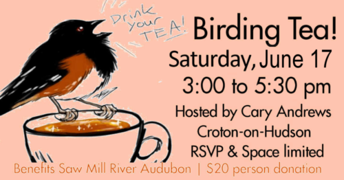 FB-ad-Birding-Tea-2023 FB-ad-Birding-Tea-2023