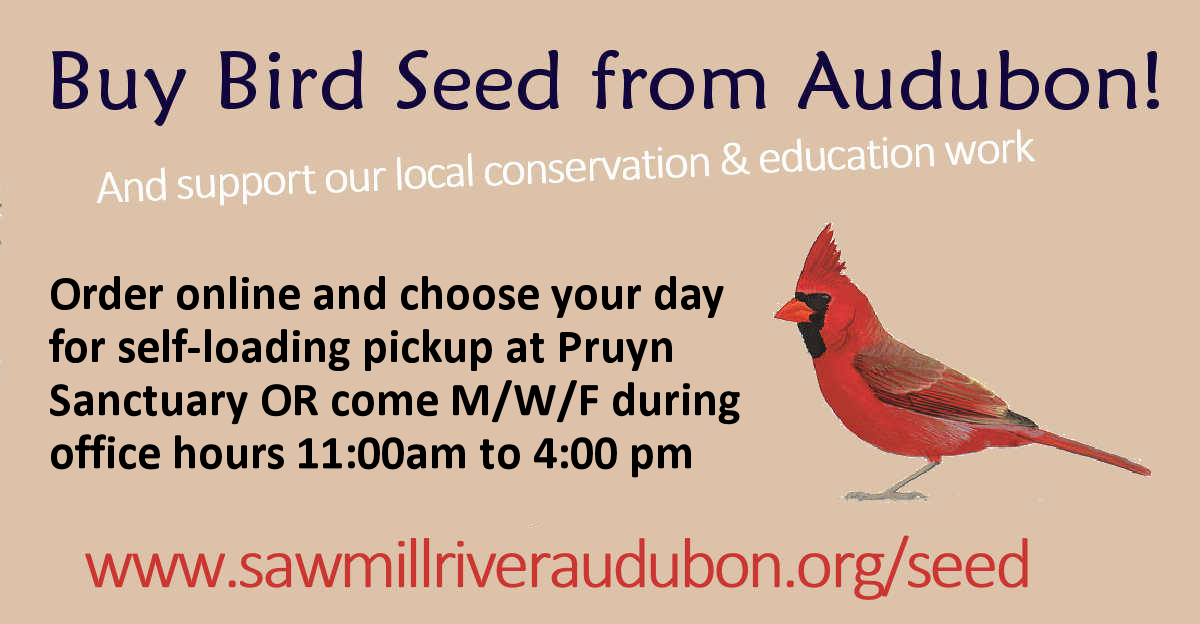 Support our work with bird seed!
