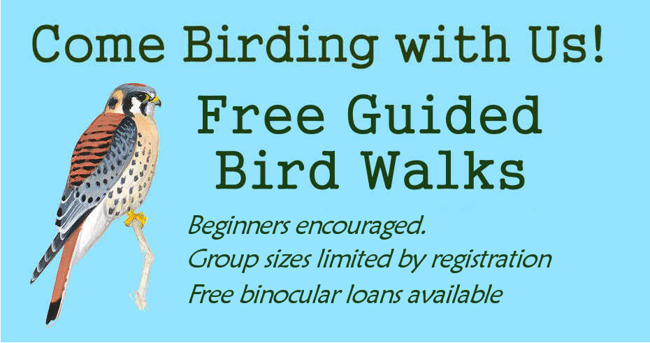 Small Group Birding