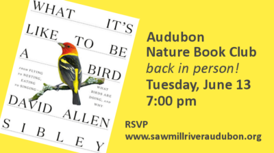 June-2023--Book-Club We are meeting in person in June 2023 at the Mount Pleasant Library, Pleasantville. Use the form below to RSVP and we'll update you going forward.