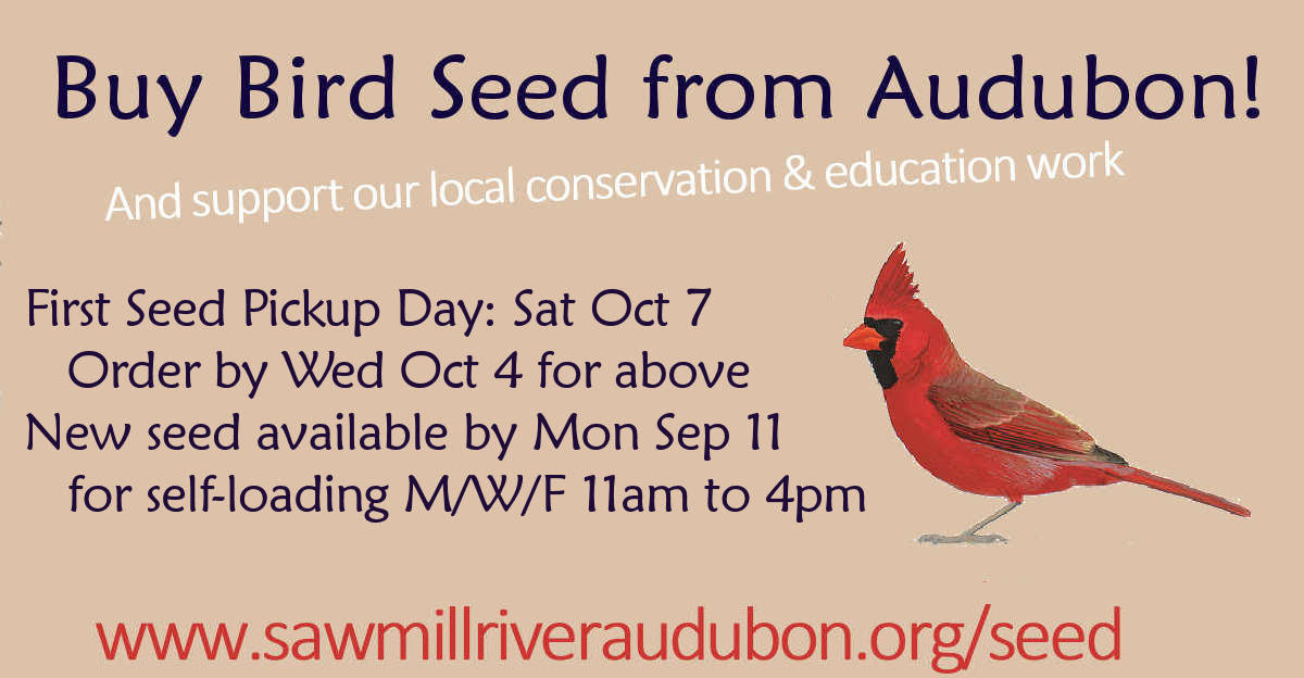Support our work with bird seed!