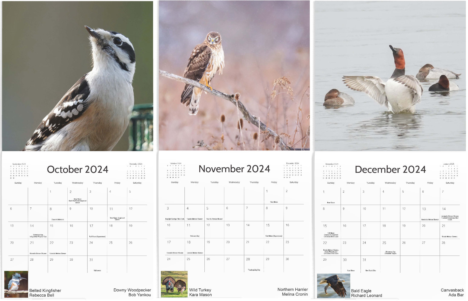 Oct-Dec