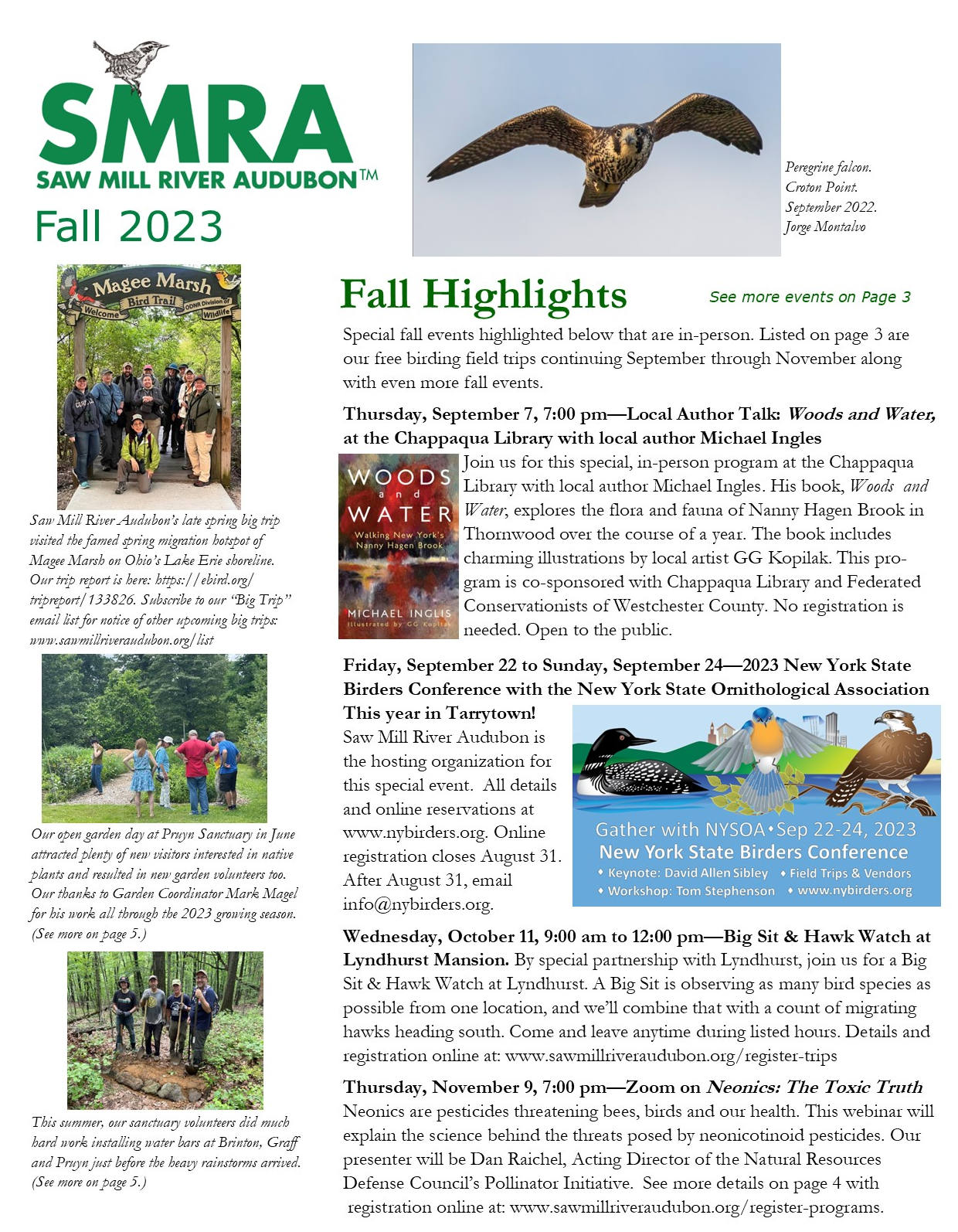 click above to download our latest newsletter
