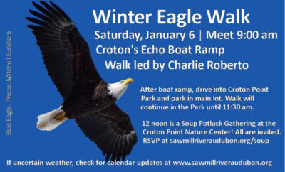 2024-Eagle-Walk
