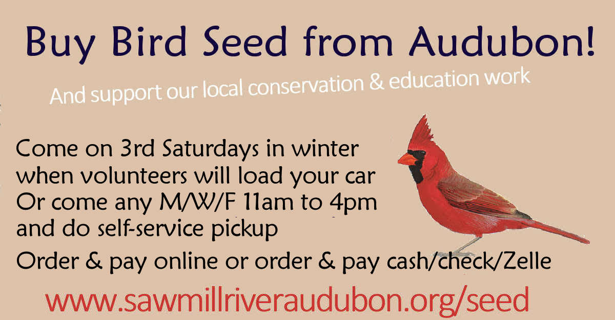 Support our work with bird seed!