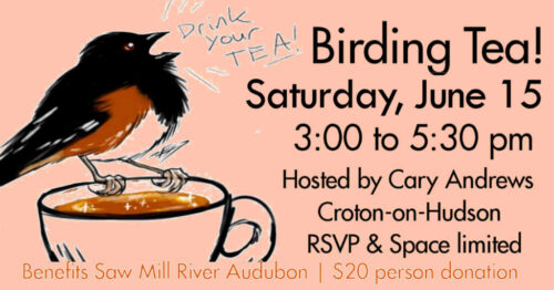 FB-ad-Birding-Tea-2024