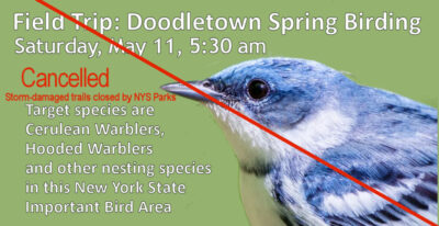 DoodletownBirding-May 11-2024-CANCELLED