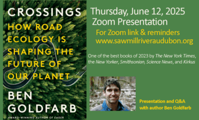Crossings-June-2025