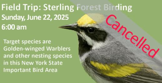 CANCELLED_SterlingForestBirding-June22-20254-1 CANCELLED_SterlingForestBirding-June22-20254-1