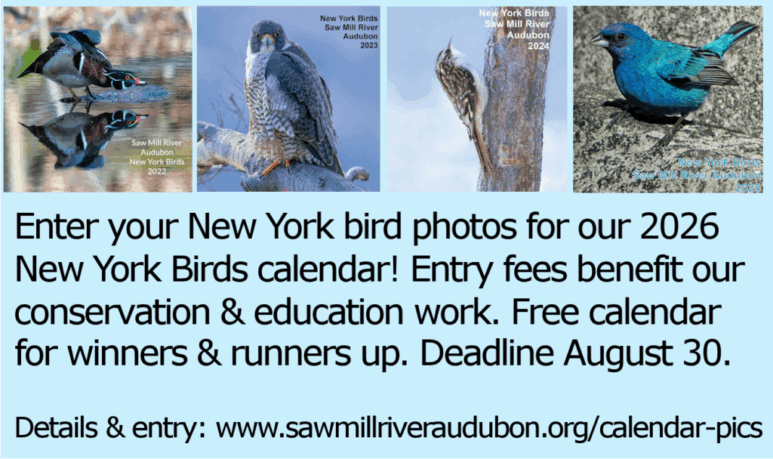 2026-Calendar-Entries 2026-Calendar-Entries