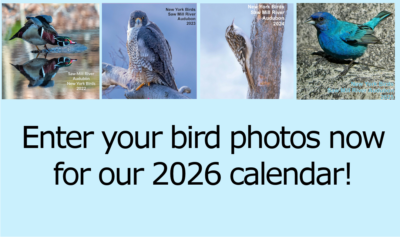 2026-Calendar-Entries-front