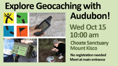 Geocaching-2025-Oct-15-Choate-Sanctuary Geocaching-2025-Oct-15-Choate-Sanctuary
