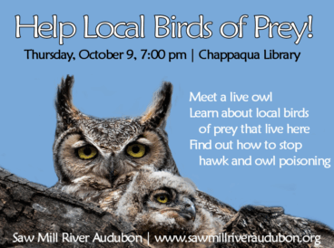 Rats-Owls-Program-Oct-2025 No registration needed. Live event open to all.