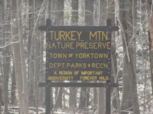Turkey_Mountain Turkey_Mountain