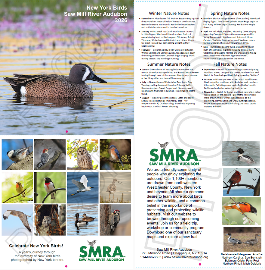 Page1-2026-NY-Birds-Calendar