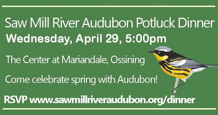 Registration opens December 1. Space limited!