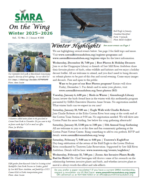 click above to download our latest newsletter