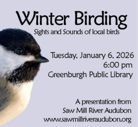 No Registration needed.