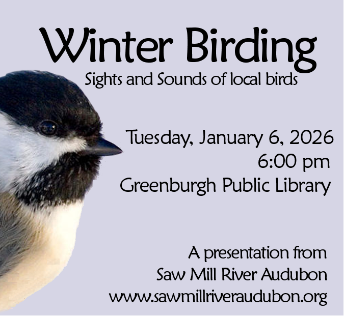 Winter-Birding-Greenburgh-Jan-2026-Square.